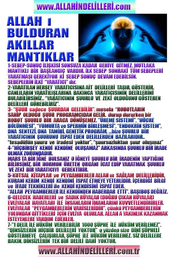 allahin varliginin delilleri, allahin delilleri, allah-delilleri, allahin varlıgının delilleri nelerdir?