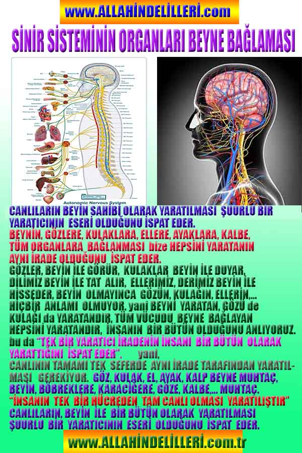 allahin varliginin delilleri, allahin delilleri, allah-delilleri, allahin varlıgının delilleri nelerdir?